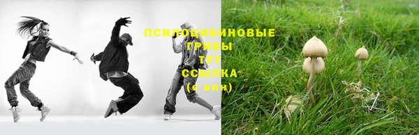 спиды Алзамай