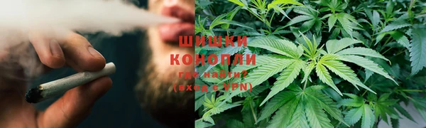 спиды Алзамай