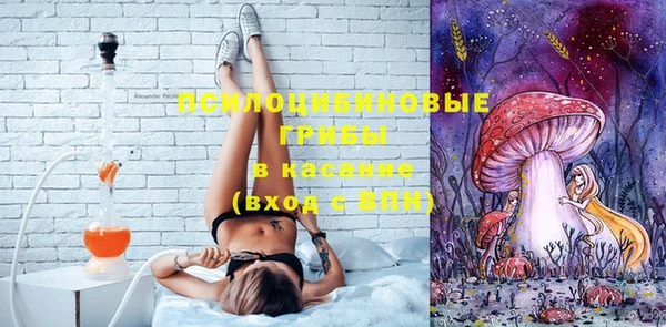 спиды Алзамай