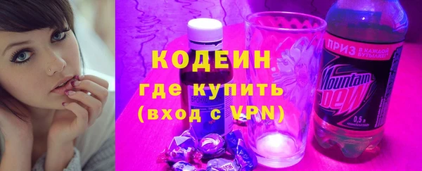 индика Саяногорск